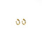 Boucles d'oreilles Rudbeckie