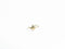 Bague Statice