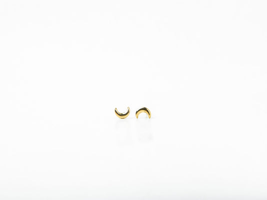 Boucles d'oreilles Lunaria