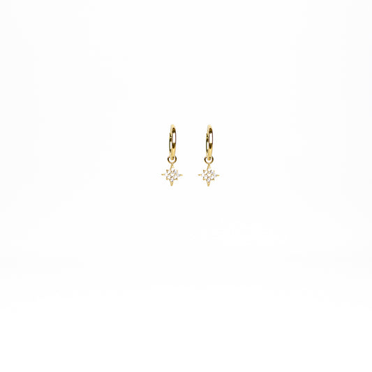 Boucles d'oreilles Ancolie
