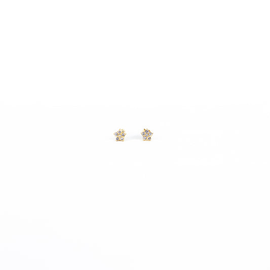 Boucles d'oreilles Céraiste